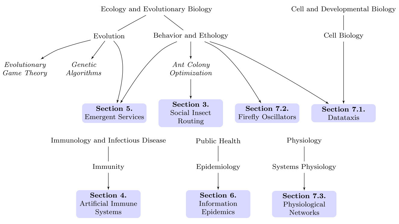 Taxonomy